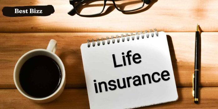 What are the principal types of life insurance?